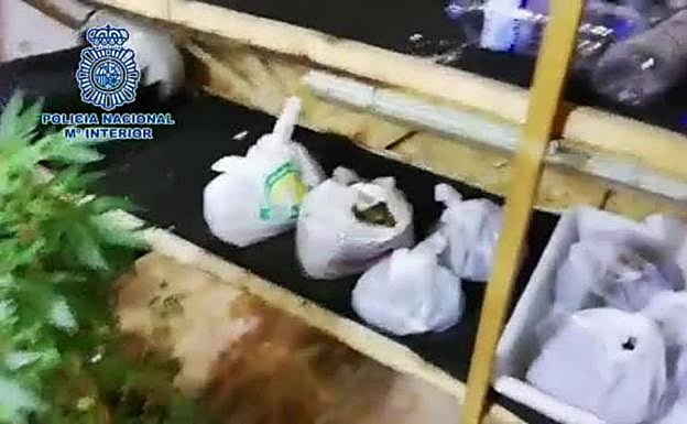 Tres detenidos por tráfico de drogas en Gran Canaria